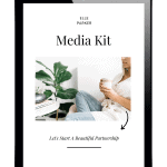 best customizable media kit template bloggers